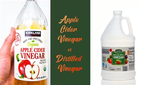 apple cider vinegar vs distilled.